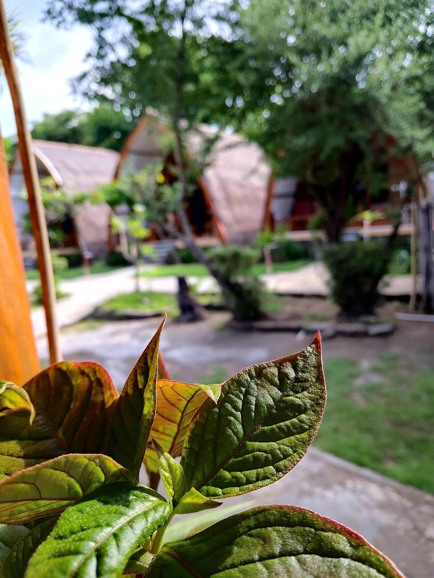 We'Be Cottages Ilhas Gili Exterior foto